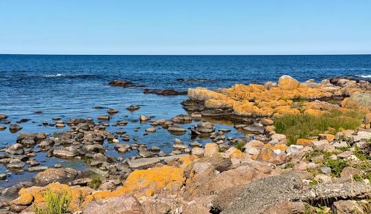 Feriehus i Aarsdale på Bornholm
