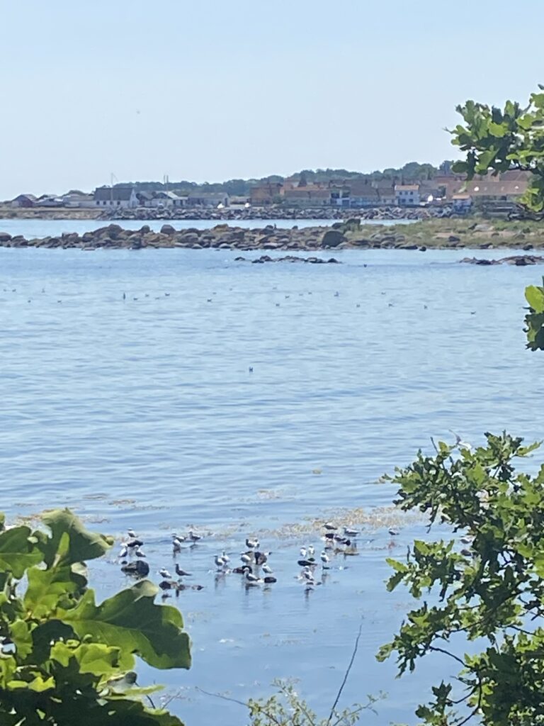 Feriehus i Aarsdale på Bornholm