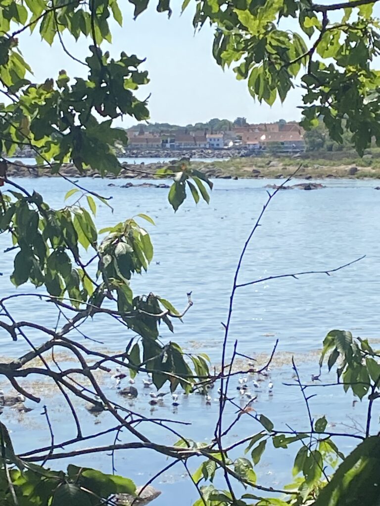 Feriehus i Aarsdale på Bornholm