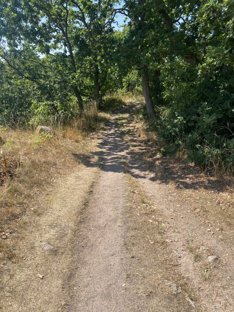 Feriehus i Aarsdale på Bornholm