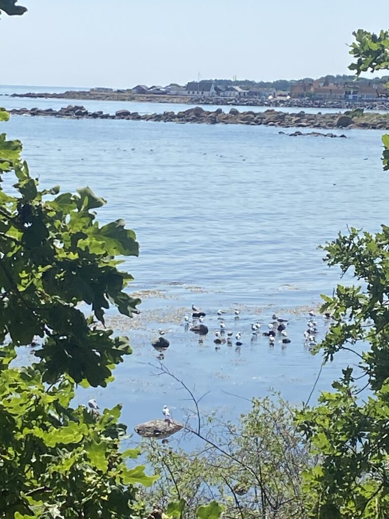 Feriehus i Aarsdale på Bornholm