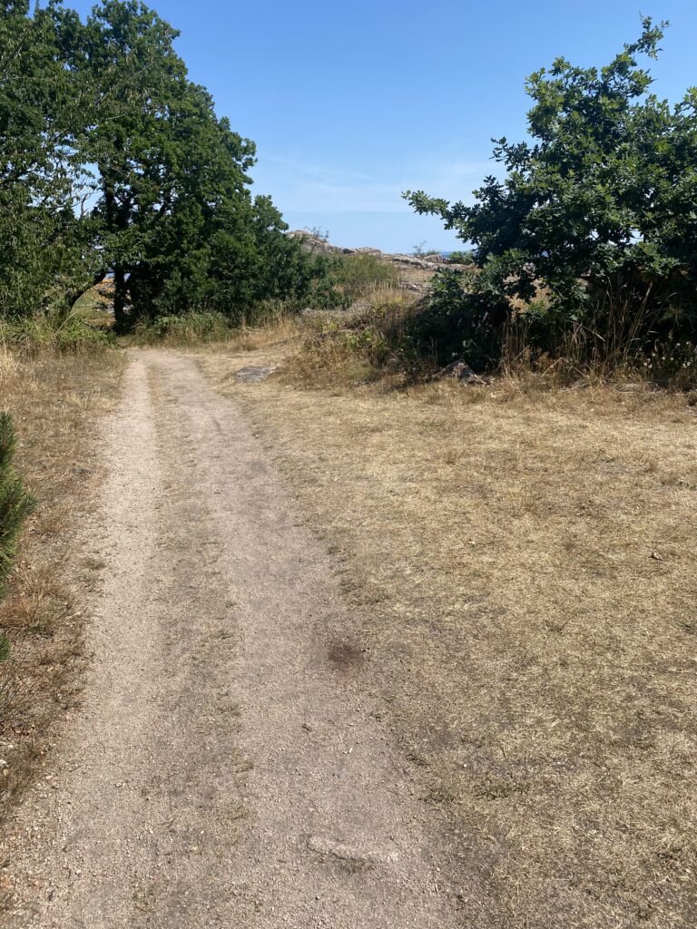 Feriehus i Aarsdale på Bornholm